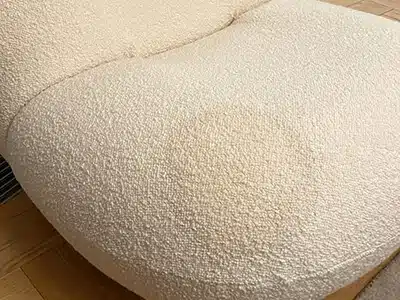 Чистка кресла от мочи кота